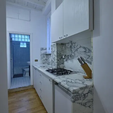 Domus Pastini 로마